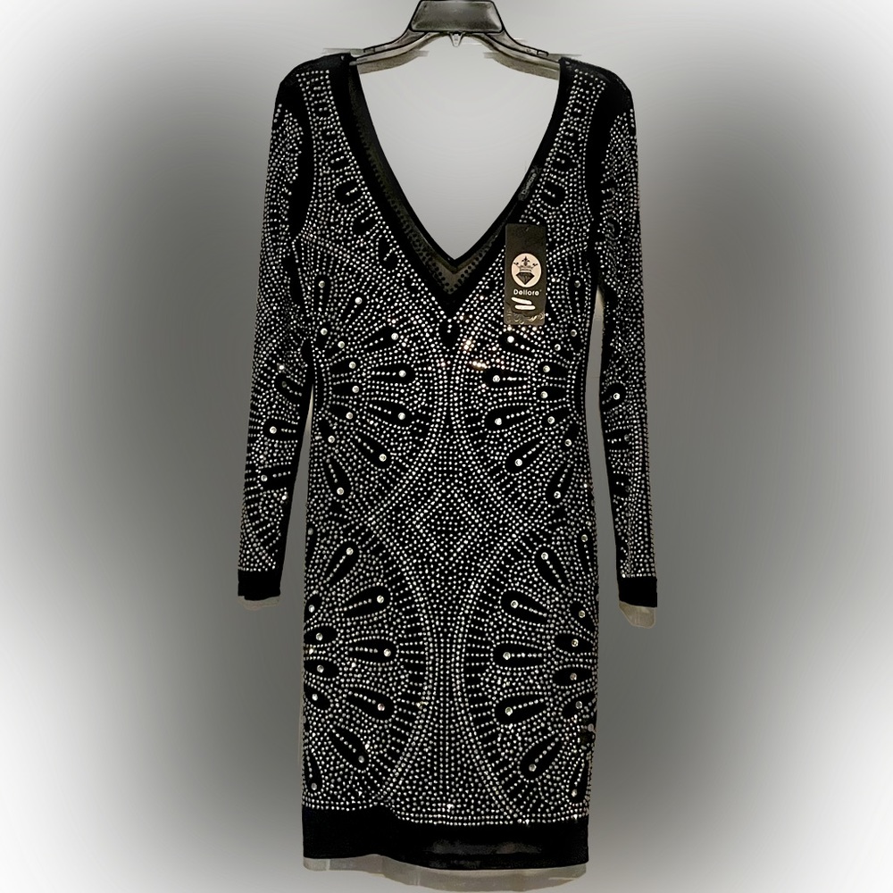 Never worn sheer dress